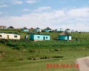 Xhosasiedlung im Eastern Cape