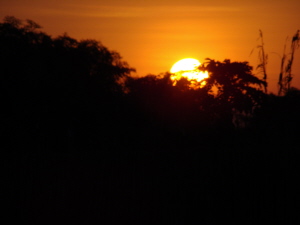 Sunset at Gwabi on Orgonite Gifting Safari of the Lower Zambesi