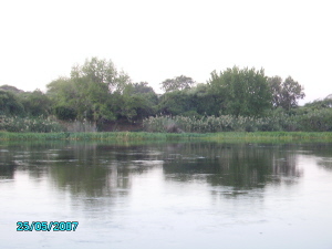 Kafue River at Gwabi, gifted with Orgonite