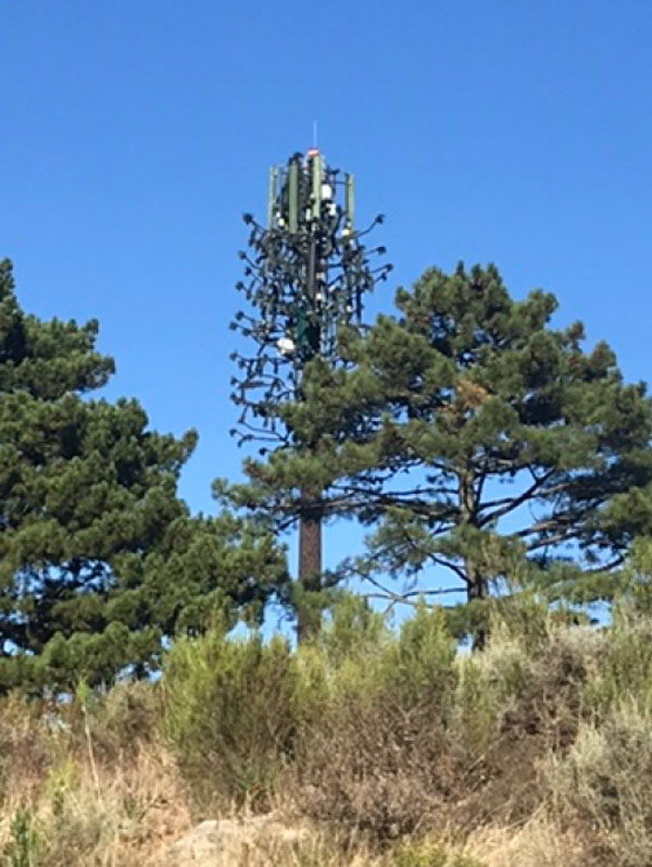 Cellphone Tower in Grabouw gifted with Orgonite