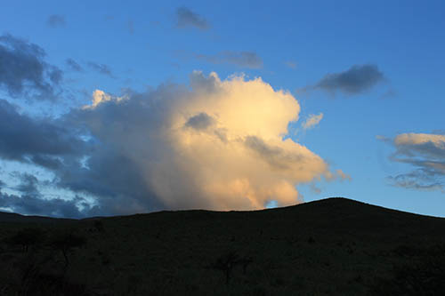 orgone cloud