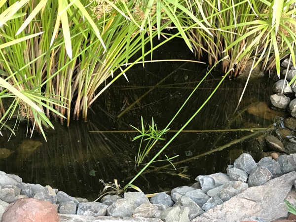 Surprising water world in Aberdeen, Karoo