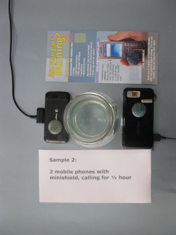 orgonite minishield emf protection experiment mobil phone radiation damage emf orgonite minishield protection experiment