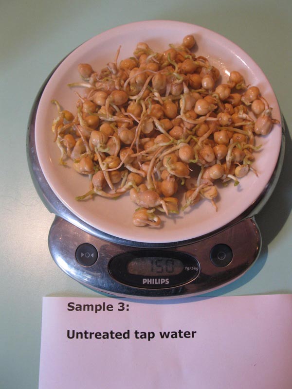 radiation cellphone, mobile cancer danger, orgonite radiation protection orgonite, mobile radiation, emf protection