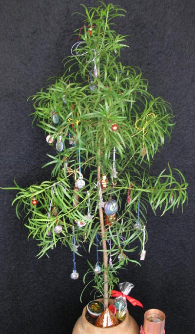 orgonite and orgone zapper for christmas orgonite, mobile radiation, emf protection