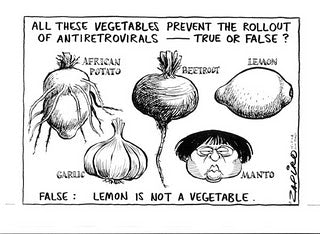 Hand-drawn diagram showing vegetables (African potato, beetroot, lemon, garlic, onion) with text about antiretrovirals