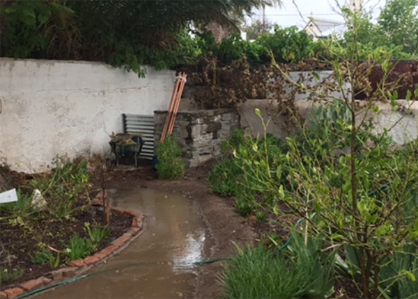 Flooded backyard with muddy water, overgrown vegetation, concrete walls, and scattered construction materials