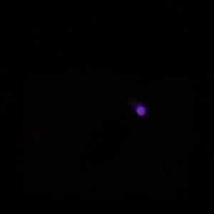 Kirlian photography of plasterite just a dull spec: Kirlian photography of