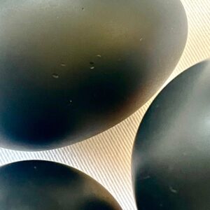 Shungite Egg view 2