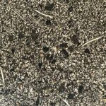Dunkle gesprenkelte Oberfläche mit kleinen schwarzen runden Löchern und dünnen weißen grasähnlichen Halmen auf körniger Textur