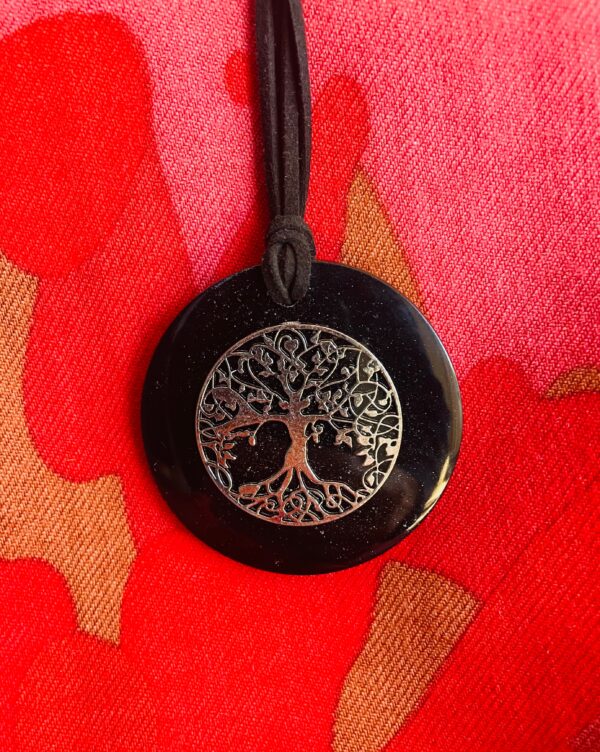 Silver & Shungite Pendant view 2