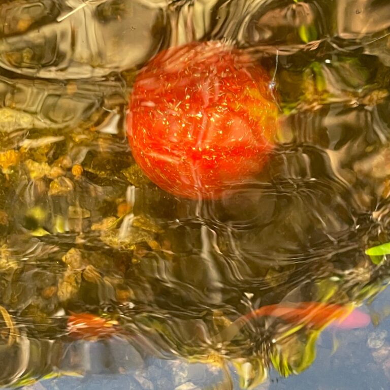 Red-orange spherical object with textured surface sitting in clear resin with golden metallic particles and organic materials