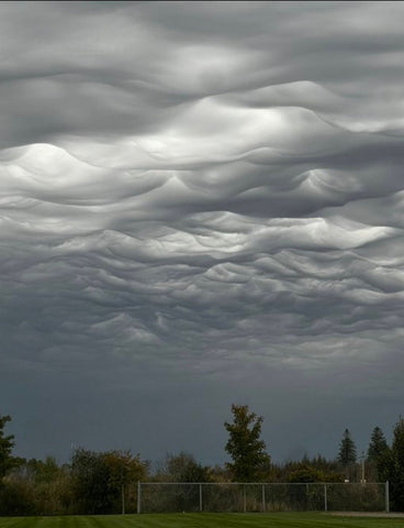 Dramatic wavy cloud formations in gray sky above trees and grassy field with fence