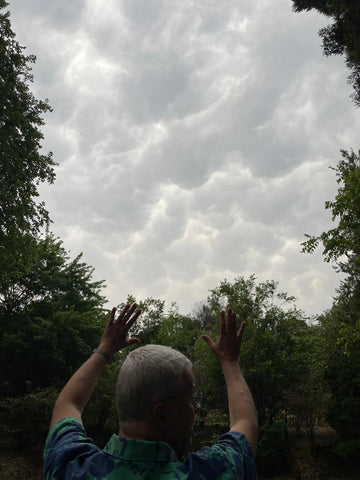 Person with raised arms stands outdoors under cloudy sky, surrounded by green trees