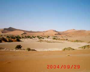 Desert landscape with orange sand dunes, scattered vegetation, and clear blue sky. Date stamp shows 2004/09/29.