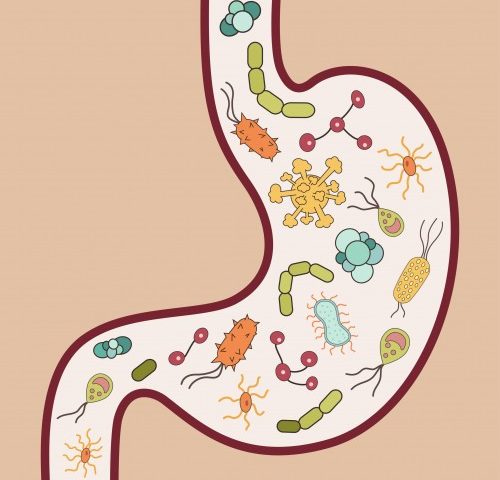 happy parasites in your intestine? Parasites: We all have them to some degree - but zapping keeps them to a minimum.