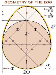The geometry of the egg