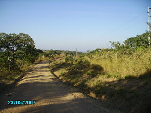 Road to Chipepo - orgonite gifted