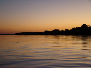 Orgonite on the Zambezi