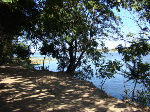 Orgonite Gifting the zambezi